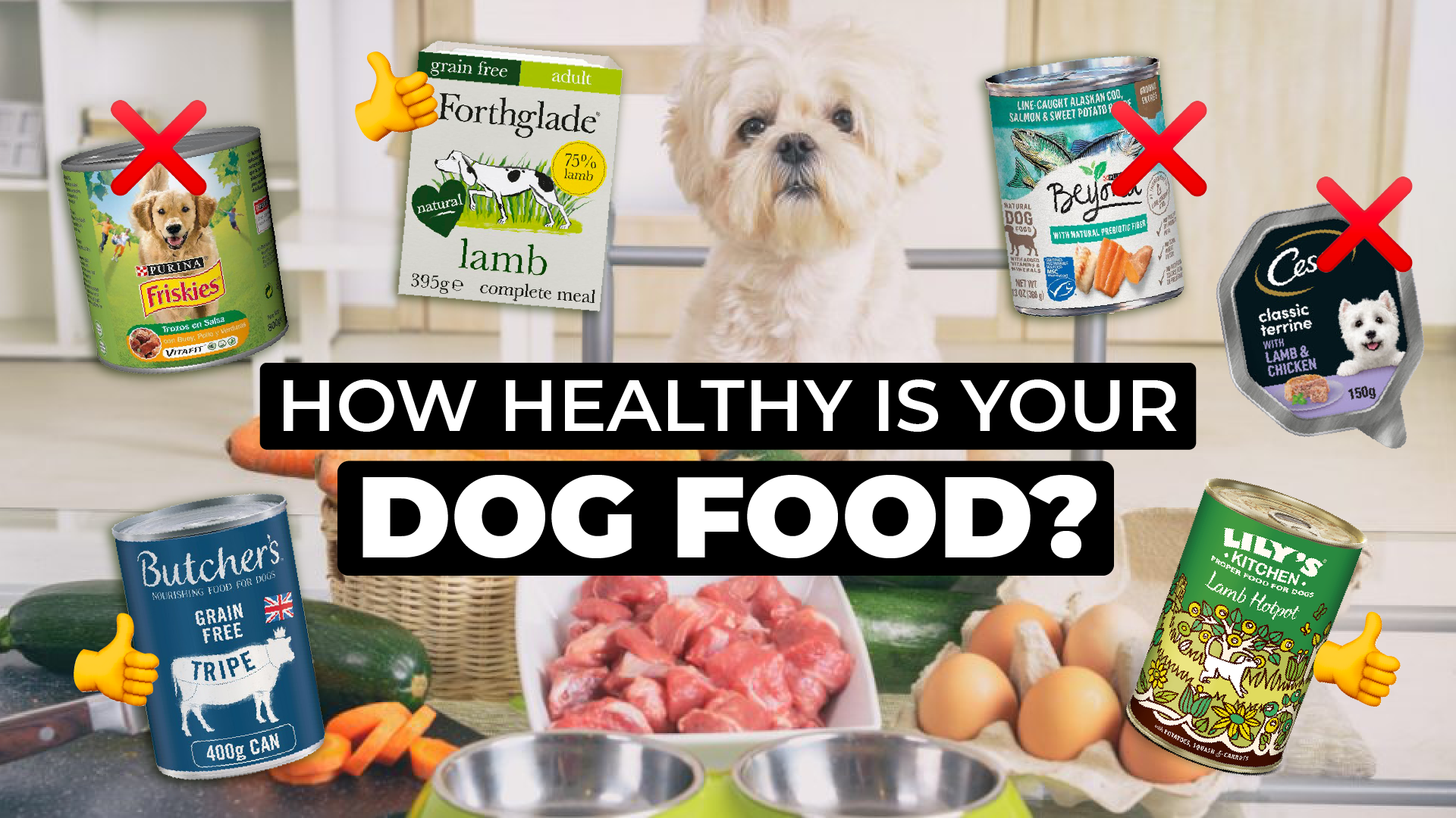 Is your dog food healthy Tonic Health